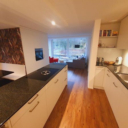 Neue Wohnung An Stadtrand Mit Parkplatz Ebikon Buitenkant foto