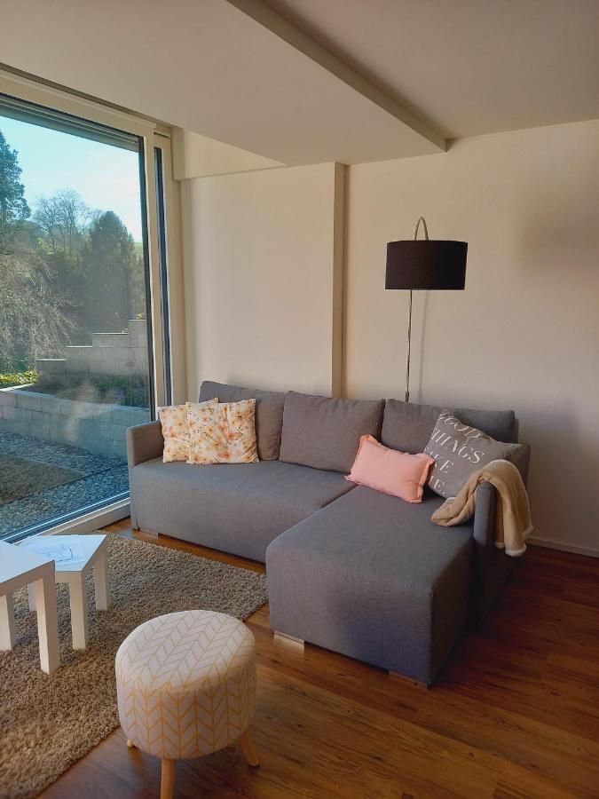 Neue Wohnung An Stadtrand Mit Parkplatz Ebikon Buitenkant foto