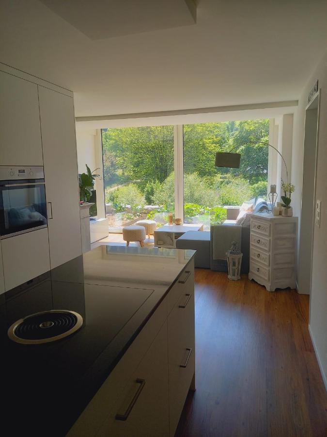 Neue Wohnung An Stadtrand Mit Parkplatz Ebikon Buitenkant foto