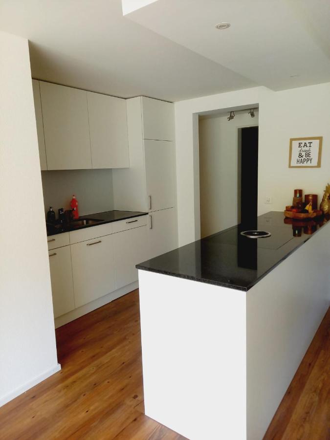 Neue Wohnung An Stadtrand Mit Parkplatz Ebikon Buitenkant foto